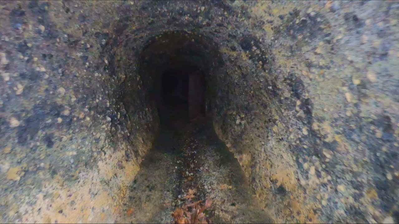 【父島戦跡探訪】大神山の名も知れぬ壕は案外広かった 2022年5月9日