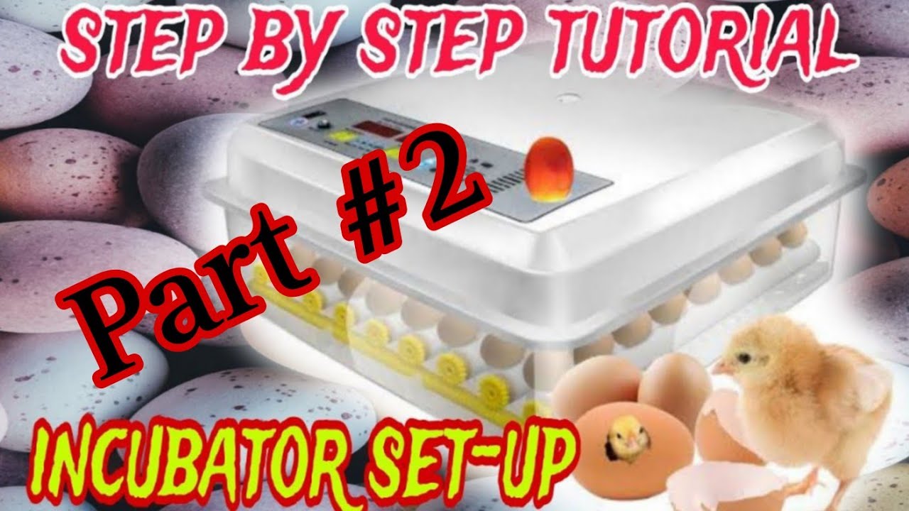 Incubator setup tutorial step by step | Incubator nga nabili ko sa shopee | Part 2
