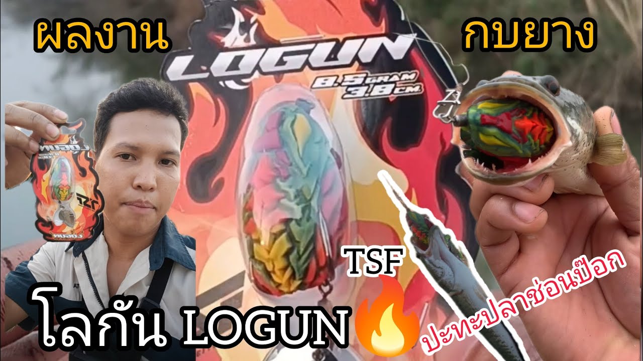 ผลงานกบยางโลกัน LOGUN TSF ปะทะปลาช่อนป๊อก 🎣🦈