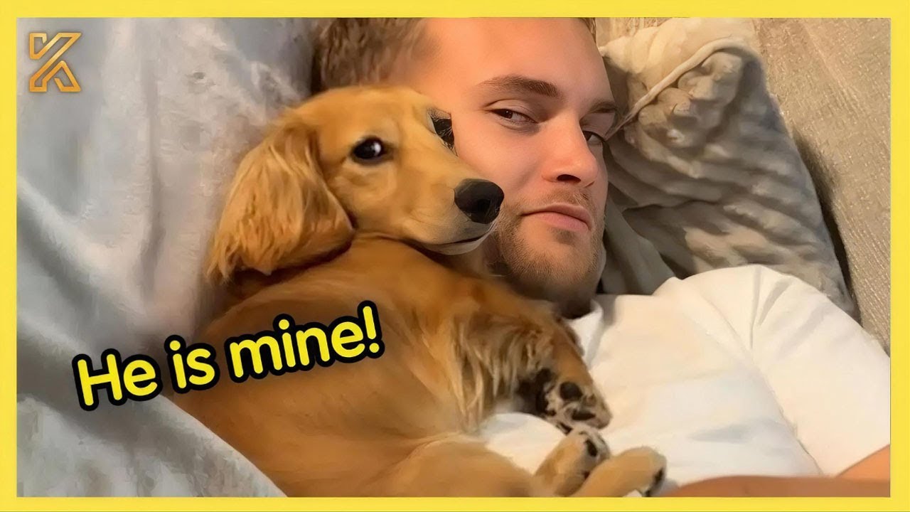 🐶 When Your Dog Falls in Love with Your Boyfriend More Than You 😂 | Funny Animal & Human Moments