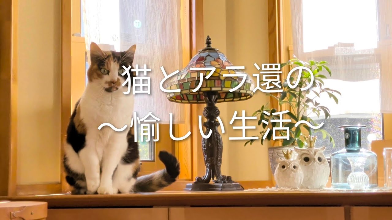 【vlog】#123 雪の大晦日/住宅街で使う薪ストーブ・掃除/