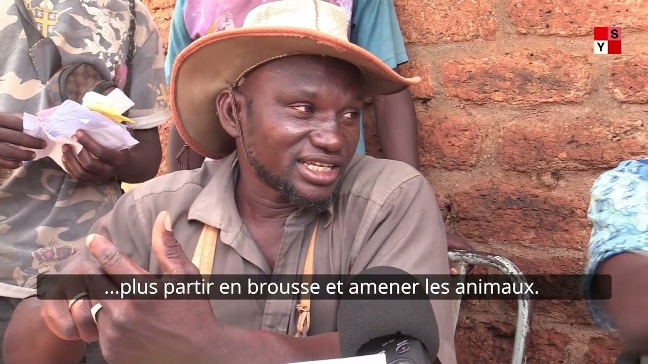 𝐈𝐧𝐬é𝐜𝐮𝐫𝐢𝐭é: 𝐋𝐚 𝐫é𝐬𝐢𝐥𝐢𝐞𝐧𝐜𝐞 𝐝𝐮 𝐦𝐚𝐫𝐜𝐡é à 𝐛é𝐭𝐚𝐢𝐥 𝐝𝐞 𝐅𝐚𝐝𝐚