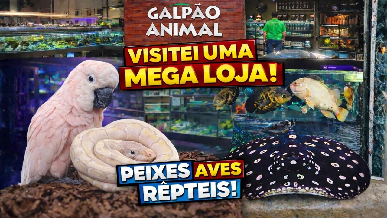 VISITEI UMA LOJA GIGANTE DE ANIMAIS!!!!