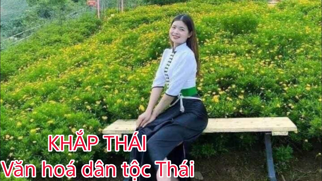 Tổng hợp các bài khắp Thái hay nhất |phần 354| Cùng gìn giữ văn hoá người Thái