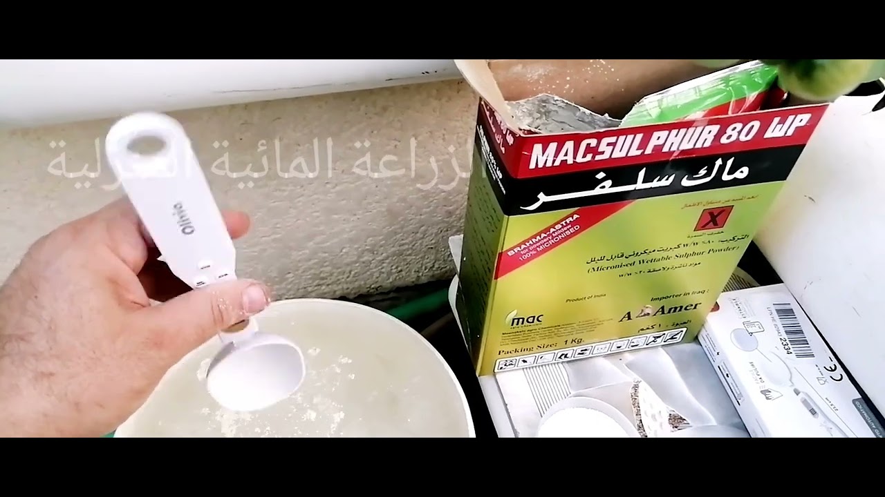 تطبيق الرش بـ (الكبريت الزراعي) للقضاء على العناكب والاكاروسات والفطريات مثل البياض الدقيقي