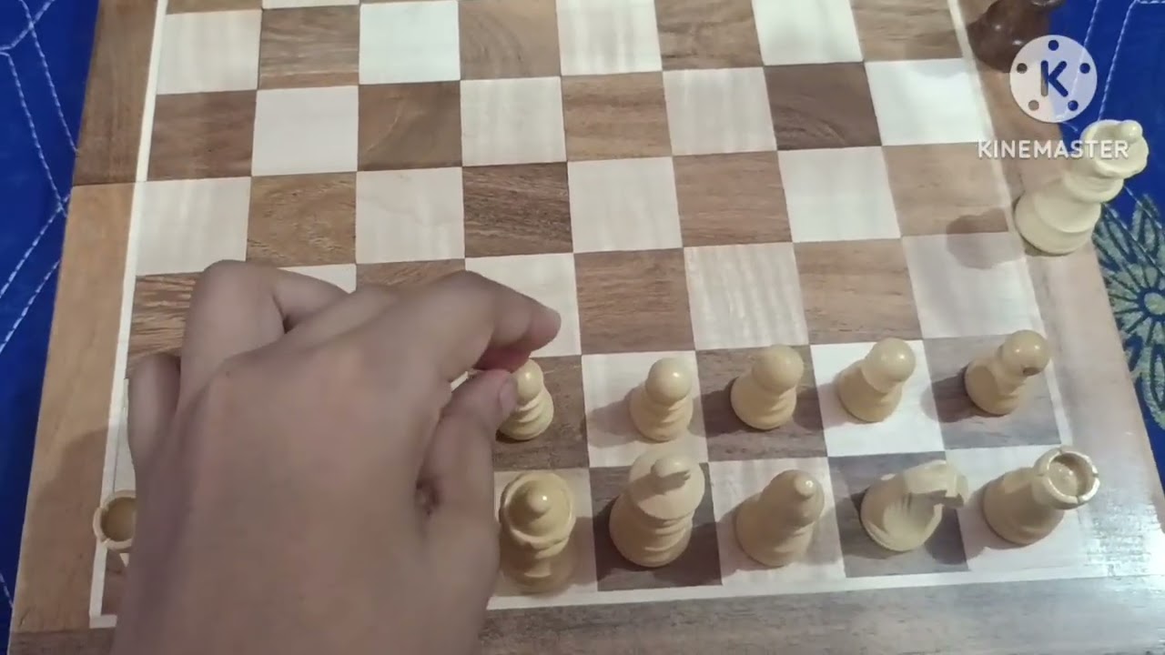 BCBESTCHESS Wooden Handcrafted Foldable Magnetic Chess Board Set with Magnetic Pieces REVIEW!