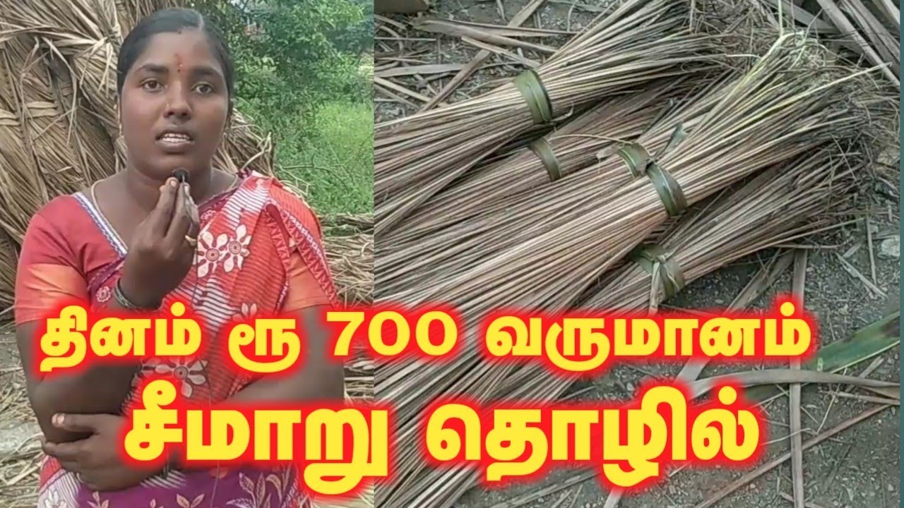 தினமும் சீமாறு உரிப்பதன் மூலம் வருமானம் ரூ 700 || TAMIL || FARMERS POST