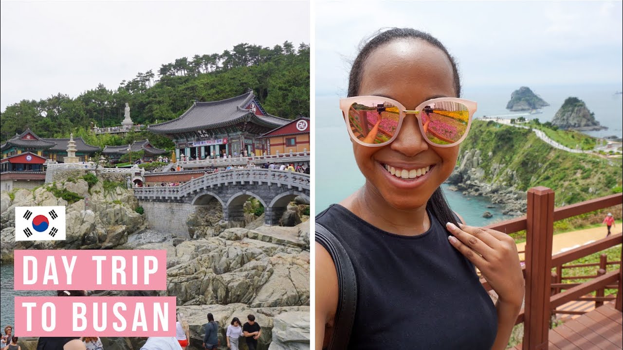 DAY TRIP TO BUSAN  // Oryukdo Island & Busan's beautiful temple by the sea