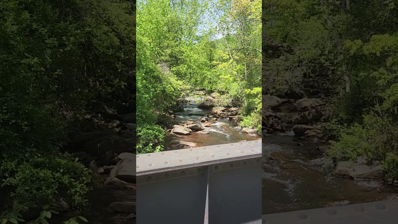 #thefrugallifewithmercedes