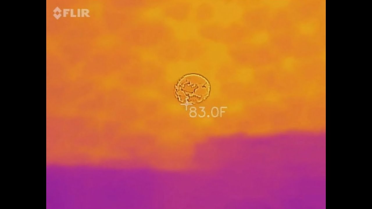 Spaceship Earth In Thermal Vision Walt Disney World EPCOT