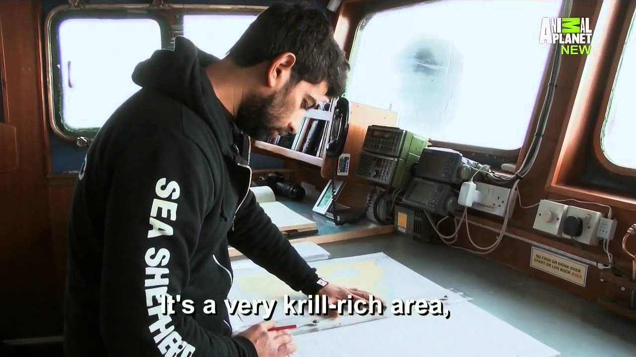 Whale Wars S07E02 Fight to the Death