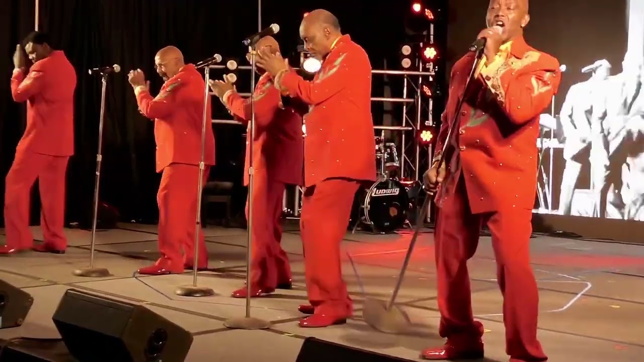 Rock/ Funk 1970 🌏 #worldwide #livemusic 🔥 #rock  The Legacy Continues❤️   “ Ball of Confusion”