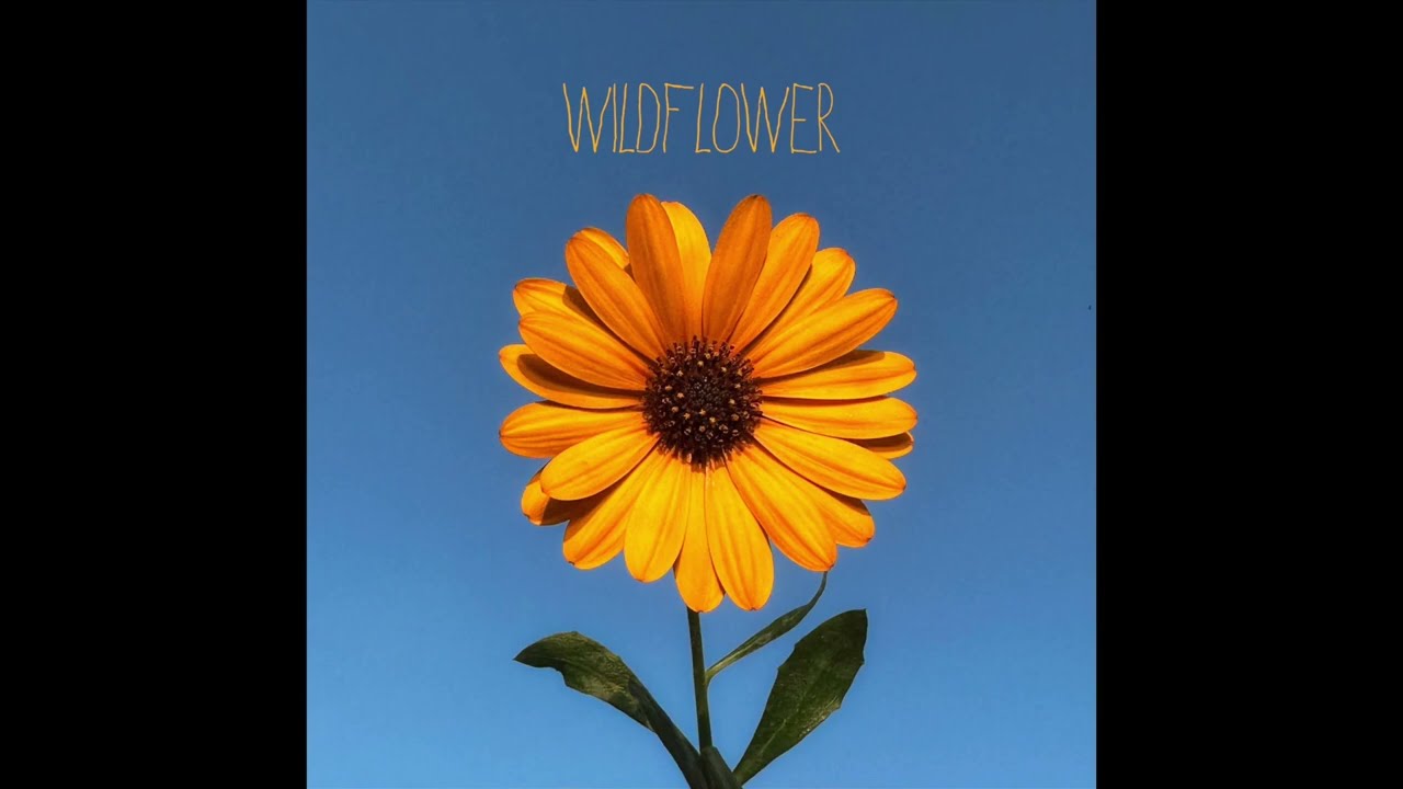 Wildflower - Wilfred