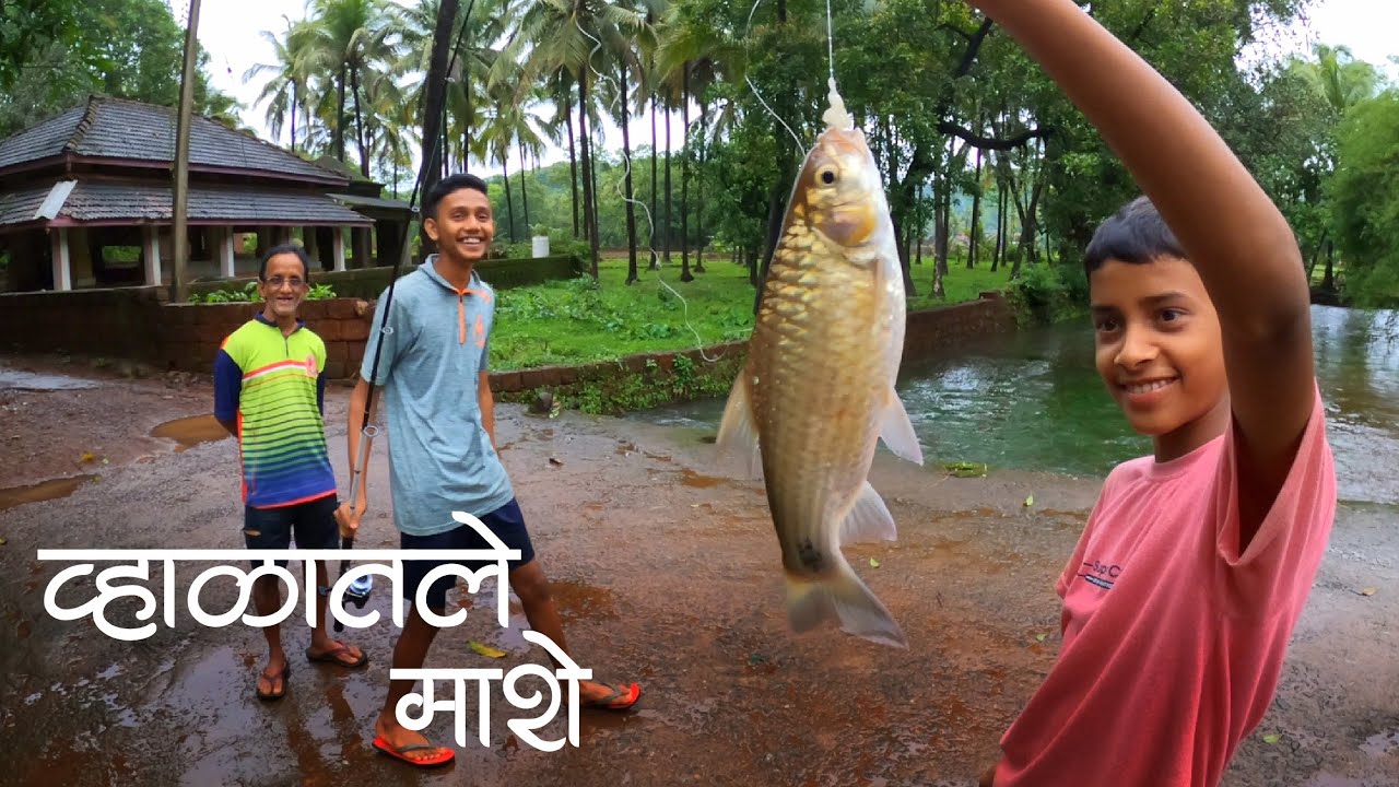 चढणीचे माशे नाय पण बाबून व्हाळातले माशे तरी दाखवल्यानं । नारिंग्रे, देवगड