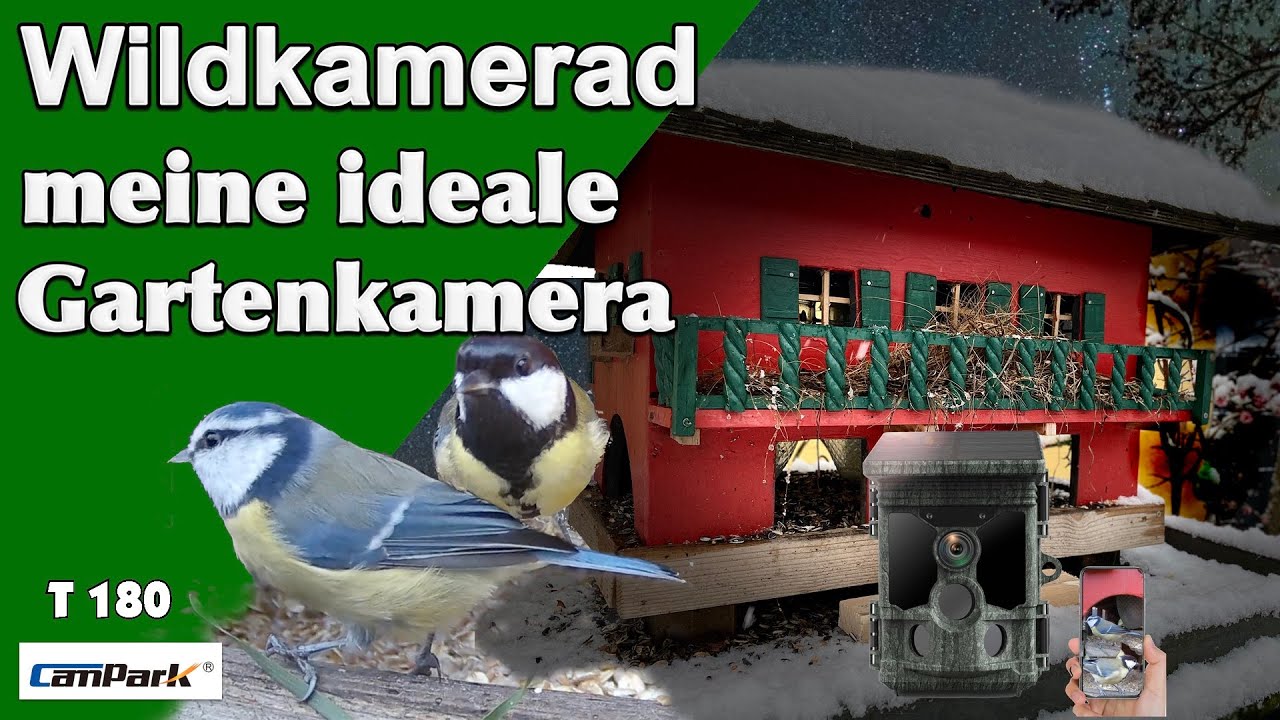 Die ideale Gartenkamera. Die Campark T180 Wildkamera als Spezialist für den Garten.