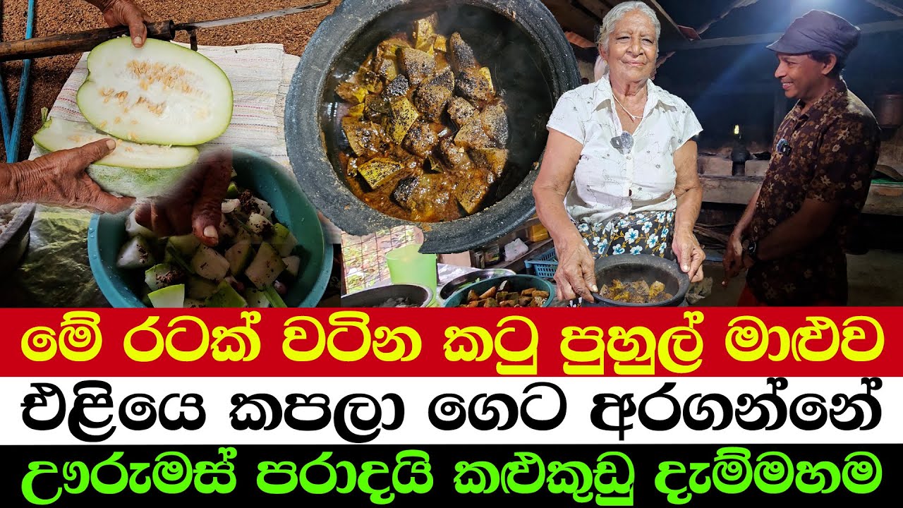 Ash - Gourd Curry with Skin – Unbelievably Tasty |
