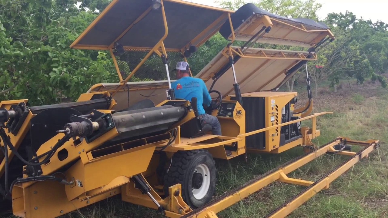 TerViva Pongamia Harvest 2017