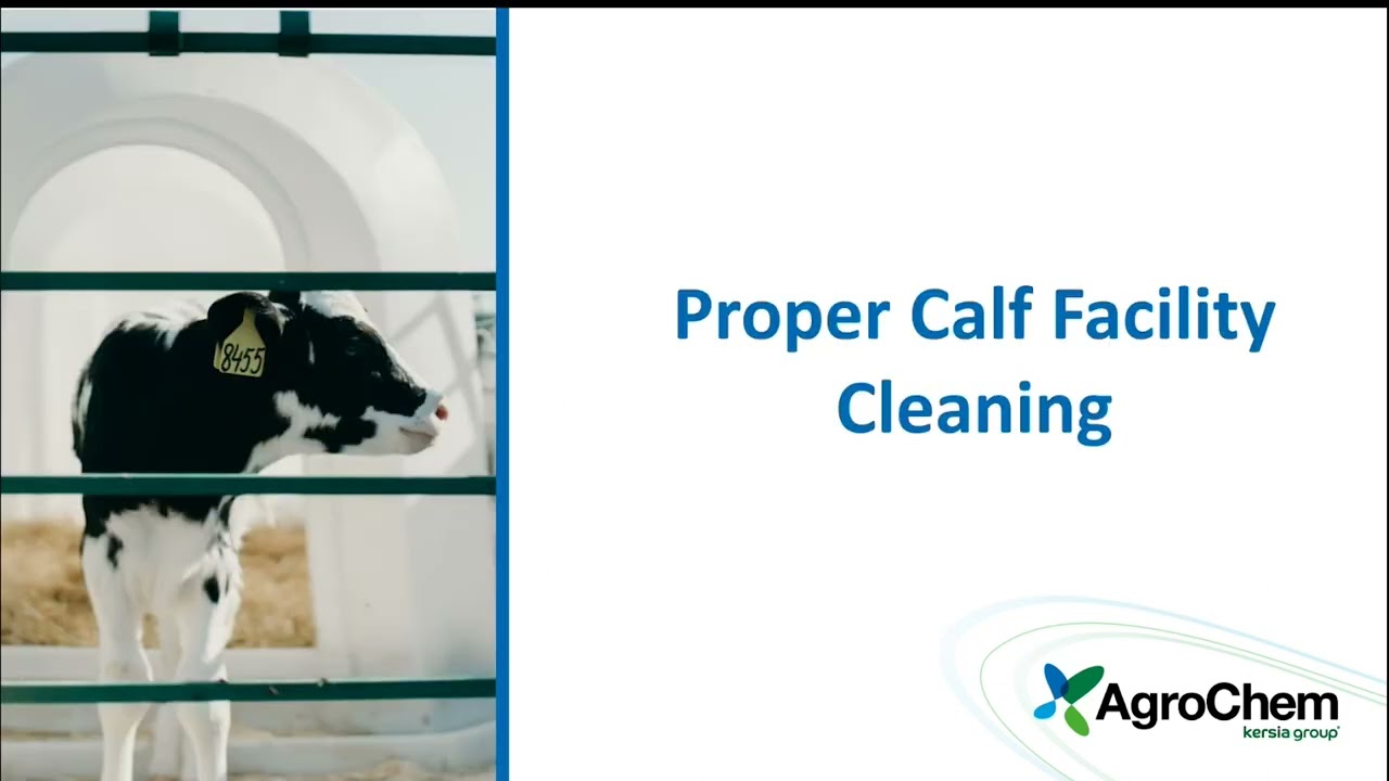 Webinar - Cleaning Calf Equipment: Best Practices