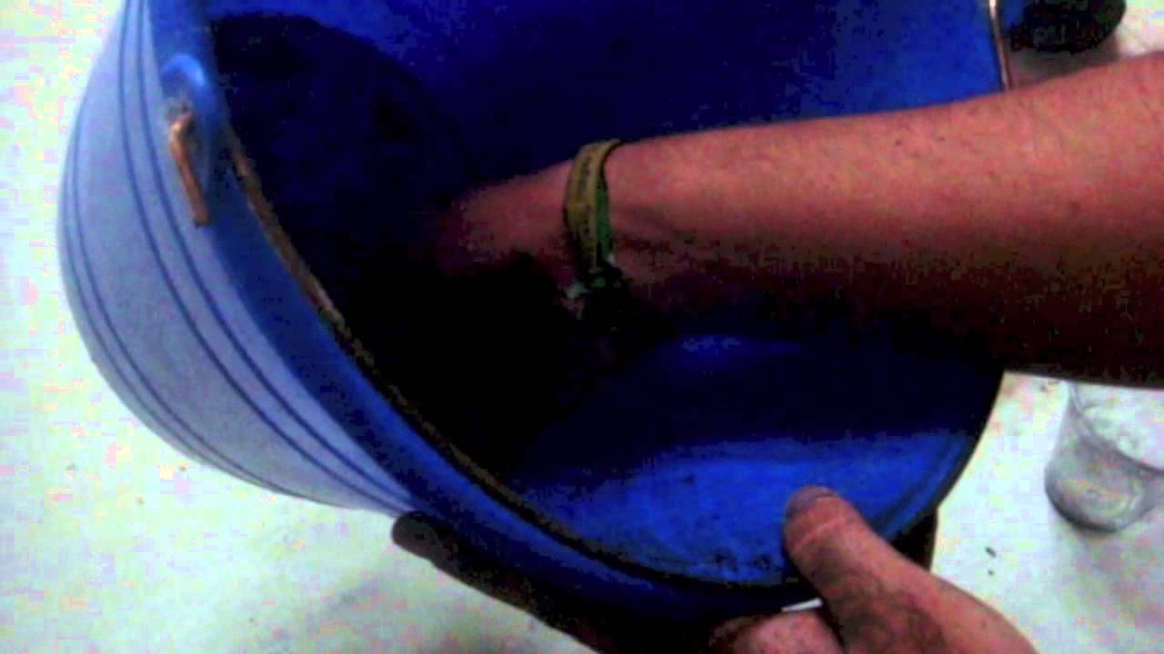 Carbón de coco