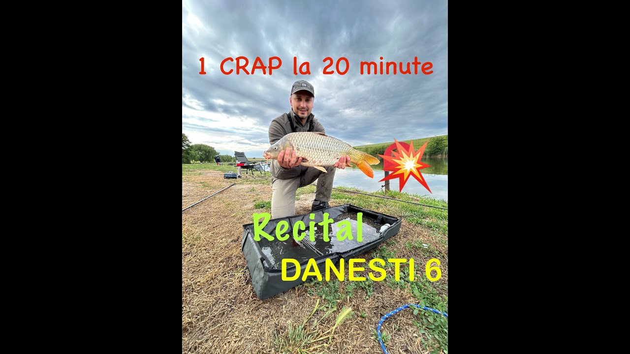 Pescuit la Crap pe DANESTI 6 - 27.05.2024 - RECITAL= 7 ore ➡️ 2 pescari ➡️ peste 60 de crapi 💥