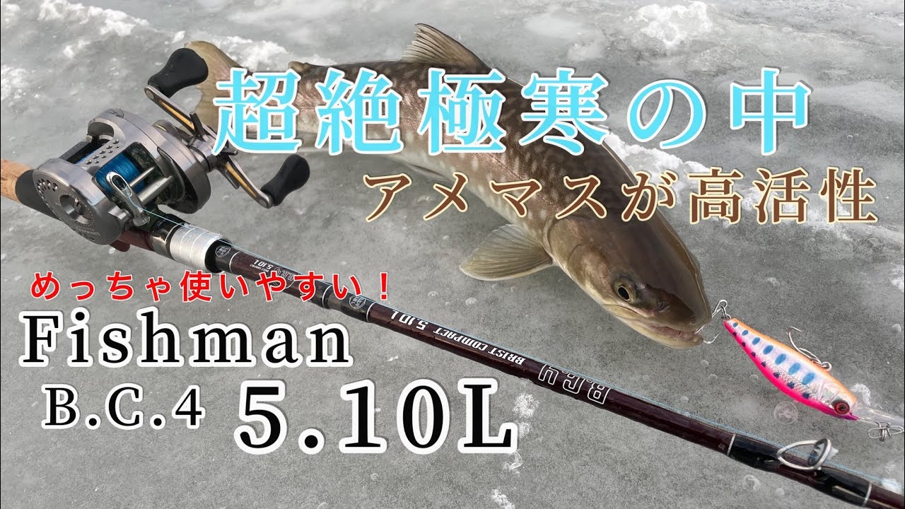 Fishman B.C.4 5.10lで超極寒の北海道の川でアメマスを狙う‼️