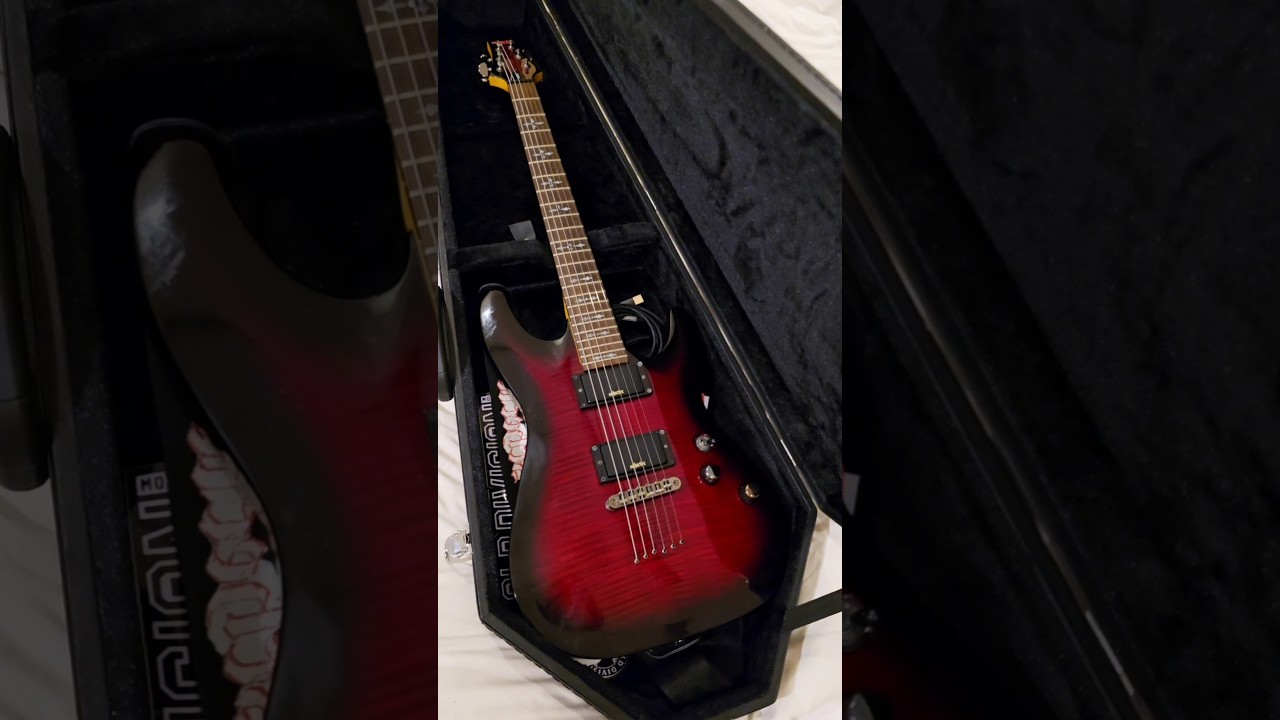 #guitar #guitarist #schecter #schecterguitars #fup #shortvideo #shorts #short #гитара #гитарист