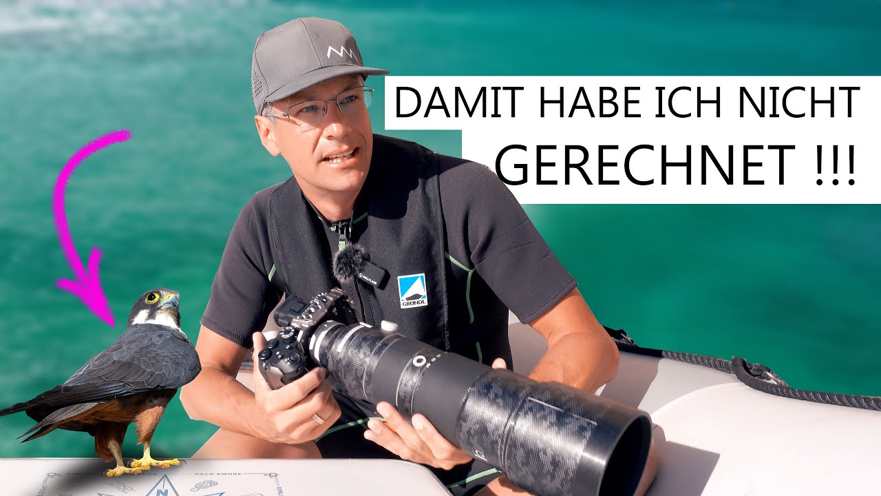 FOTO to GO 45 Eleonorenfalken fotografieren u. in Luminar Neo bearbeiten
