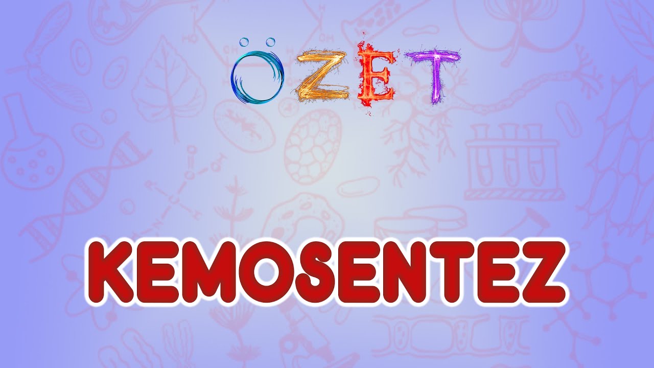 Kemosentez / Özet