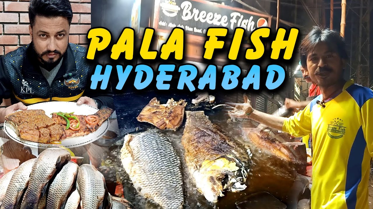 Sindh Famous Pala Rahu Fish Breez Fish Hyderabad ||Vlog# 143|| @AqeelPathan