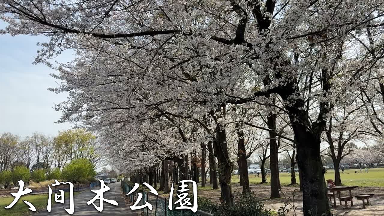 休日はここで決まり！サッカーができる広い公園、大間木公園（駐車場あり）