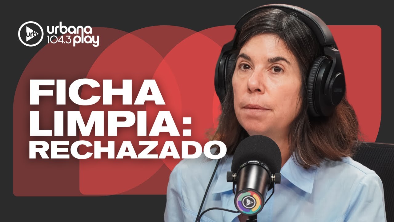 El Senado rechazó el proyecto de Ficha Limpia por un voto: Audios de #DeAcáEnMás