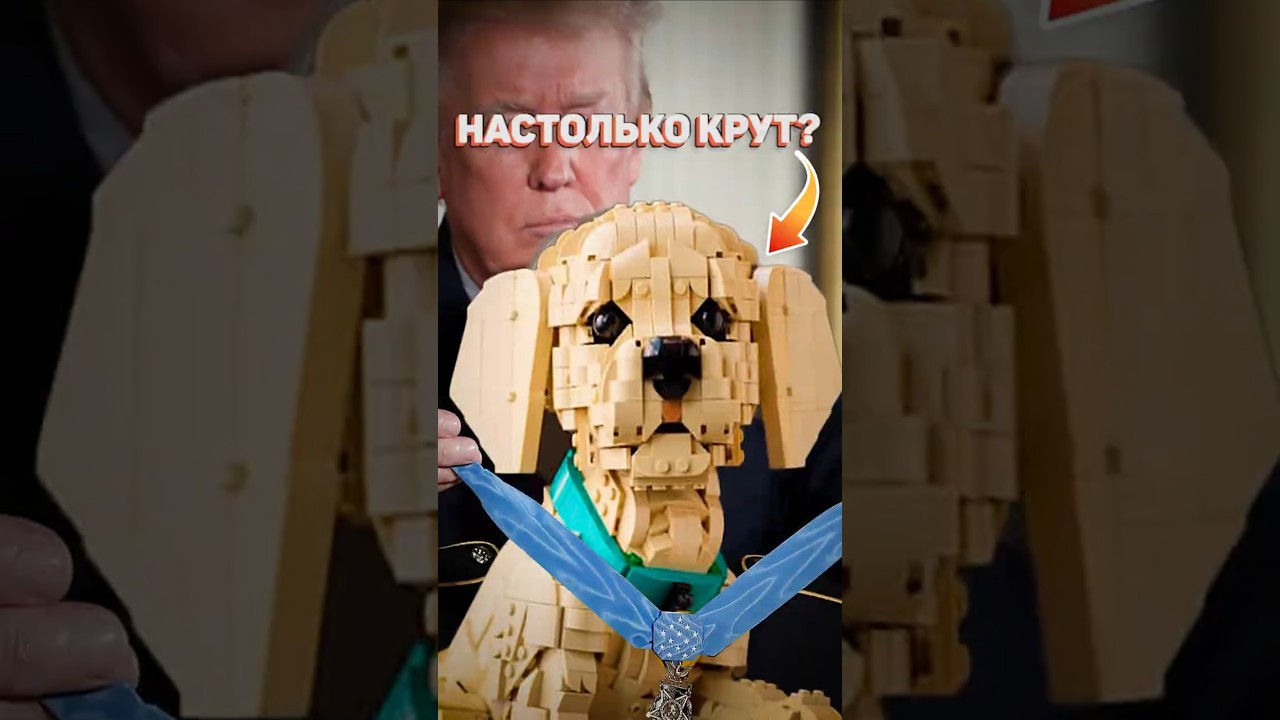 ЧТО СКРЫВАЕТ ЛЕГО ПЁС? #рарибрик #lego #лего #icons #news #review #dog #eastereggs