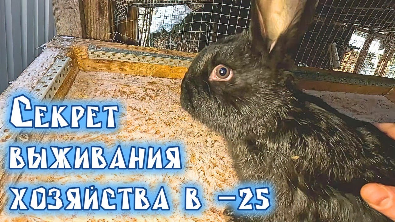 Итоги 2025 года и планы на 2026: что ждёт наш канал!