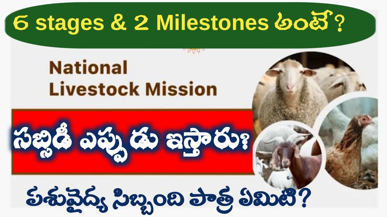 NLM- stages & Milestones - Complete Procedure for Loan and Subsidy Release -Setbacks