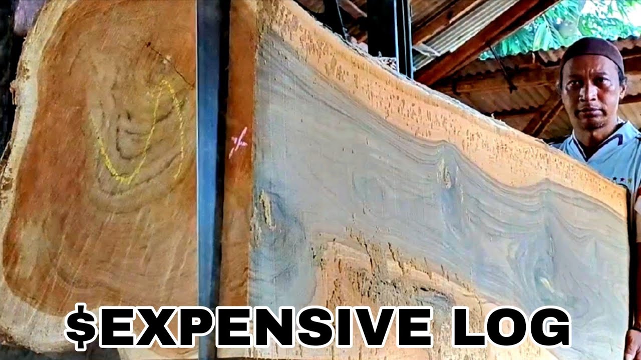 One Wrong Cut Ruins This Burmese Teak Log