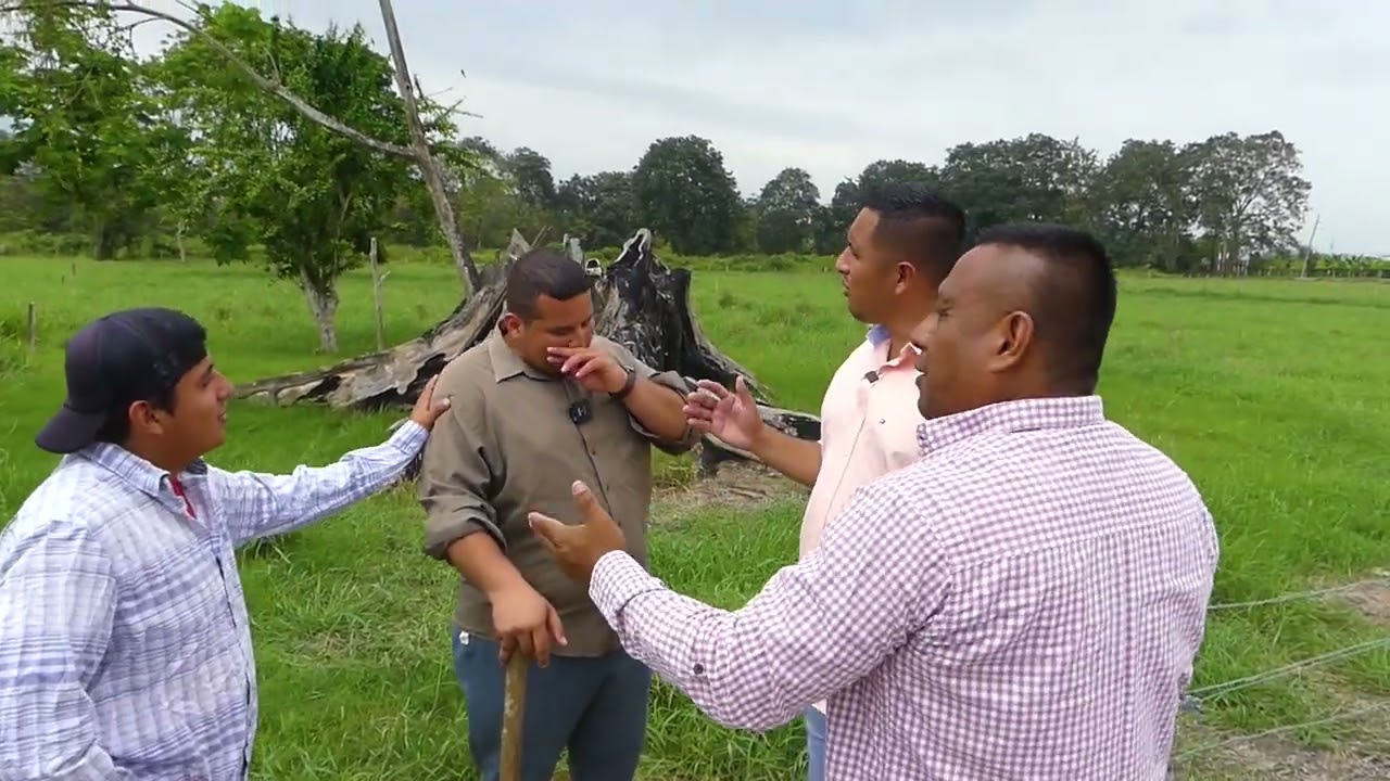 le querian comprar la finca con amenazas ya que en esas tierras hay oro enterrado y mira lo que pasa