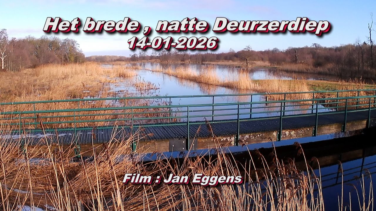 Het brede , natte Deurzerdiep 14 01 2026