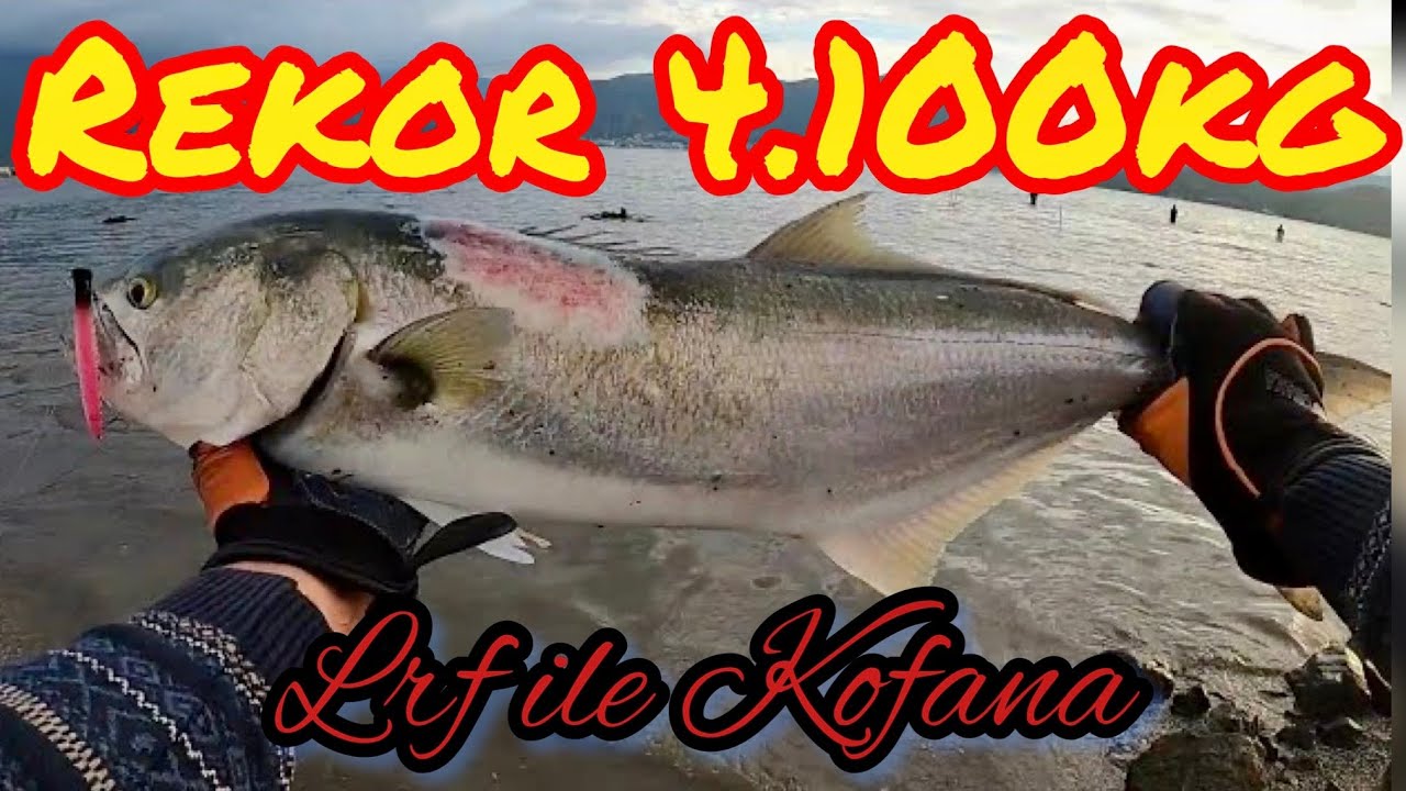 LRF İLE REKOR 4.100 KG KOFANA(SIRTI KARA) AVI. su ustu poper ile rekor #kofana avi.