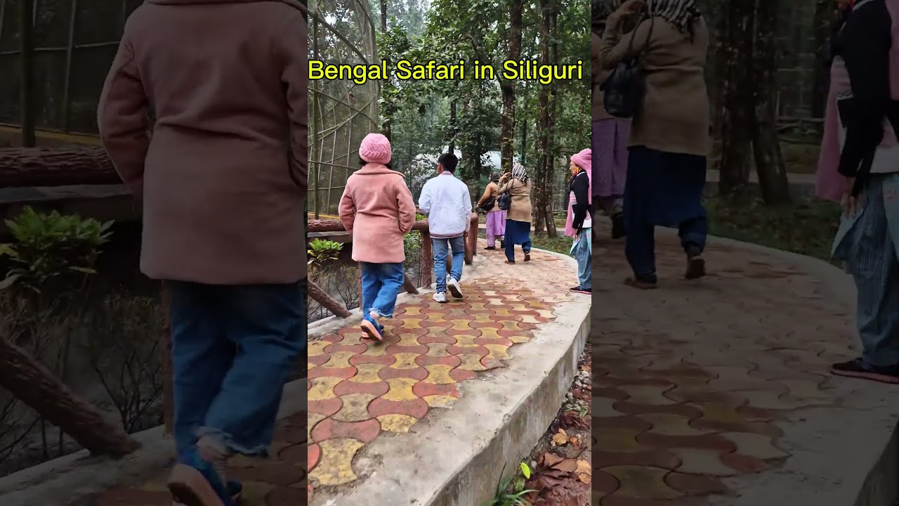 #bengalsafarisiliguri