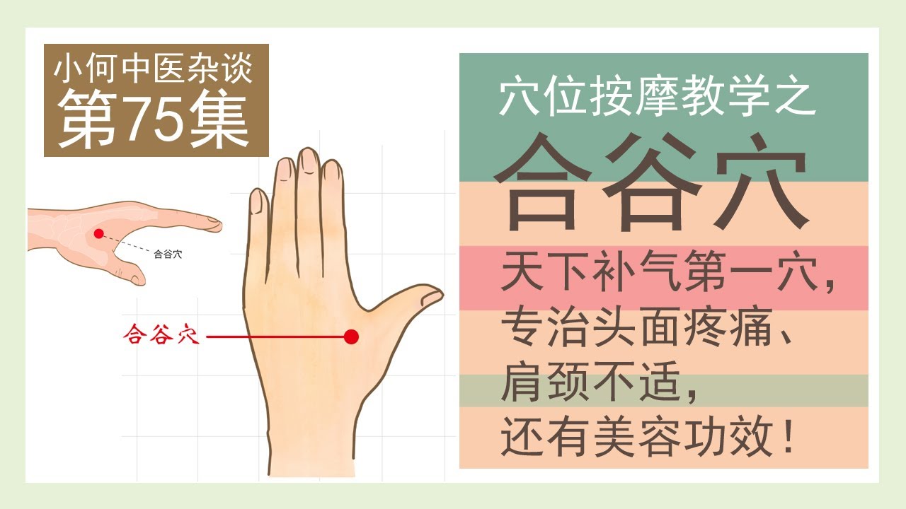 第75集 : 穴位按摩教学之合谷穴——天下补气第一穴，专治头面疼痛、肩颈不适， 还有美容功效！