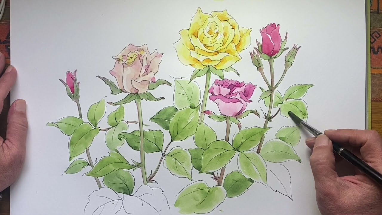 バラの描き方(解説)