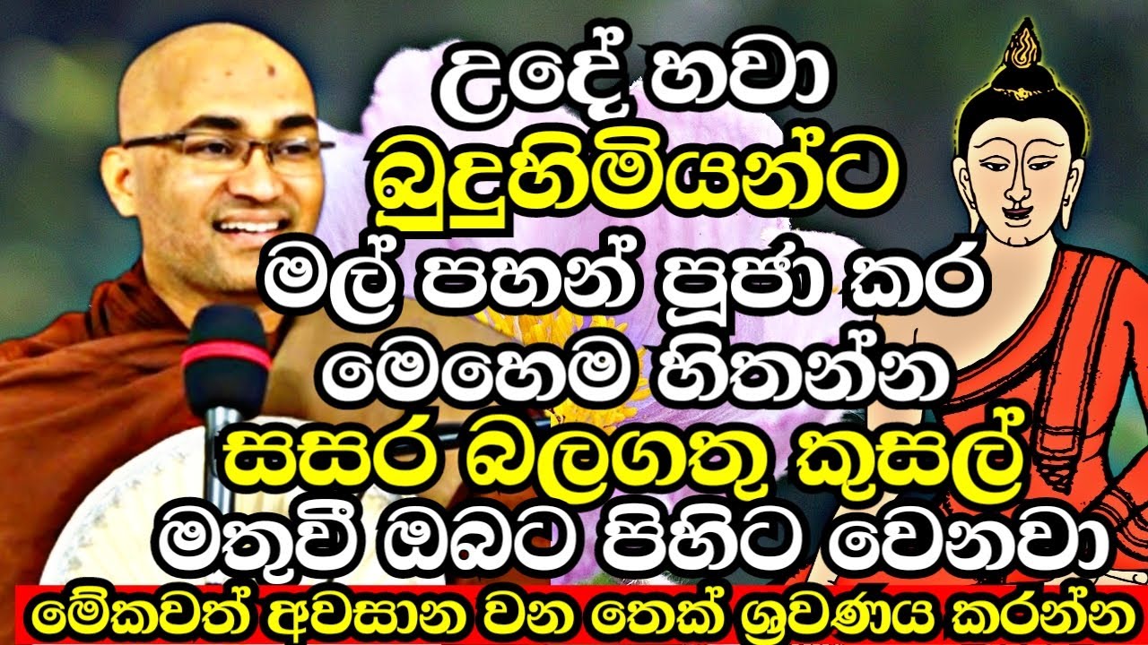 අනේ කියනවට ඔබටත් මේ ටික උදේ හවා කරන්න පුළුවන්නම් පුදුම වාසනාවන්තයෙක් | Balangoda Radha Thero bana