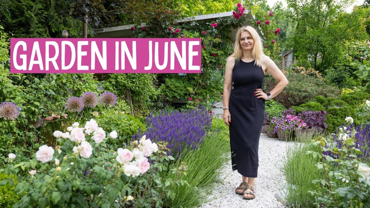 Do This Now: June’s Top Garden Tasks for Stunning Results! JUNE BLOOMS in the Garden 💚