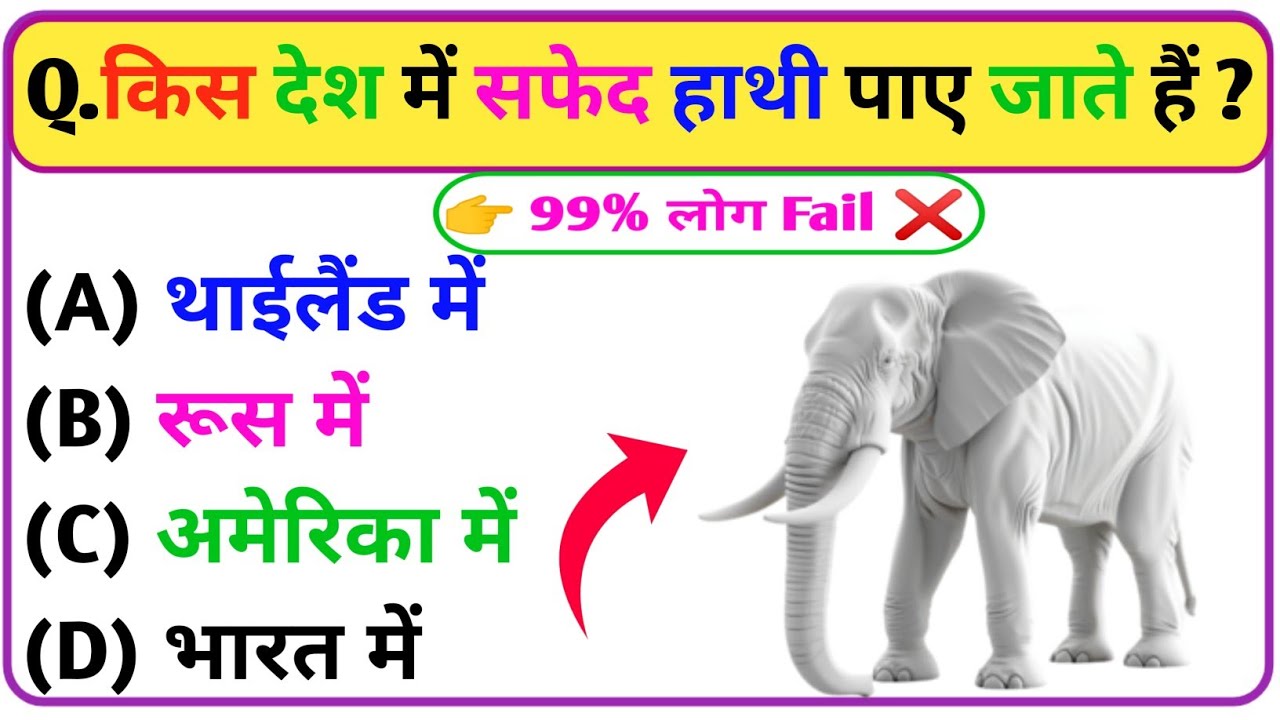 Gk||Gk Question||Gk In Hindi||Gk Question and Answer||Gk Quiz|| G.K GYAN ACADEMY 🔥📚😎