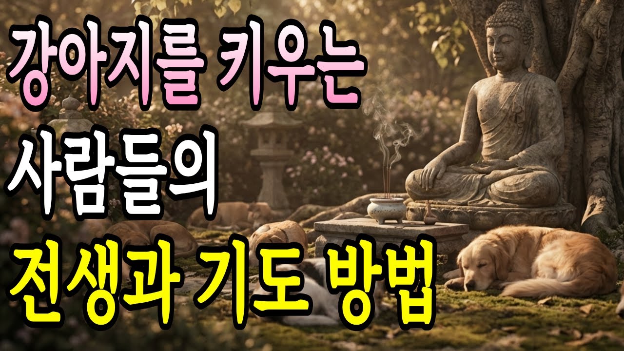 강아지를 키우는 사람들의 전생과 기도 방법 | 부처님 말씀 | 오디오 명상