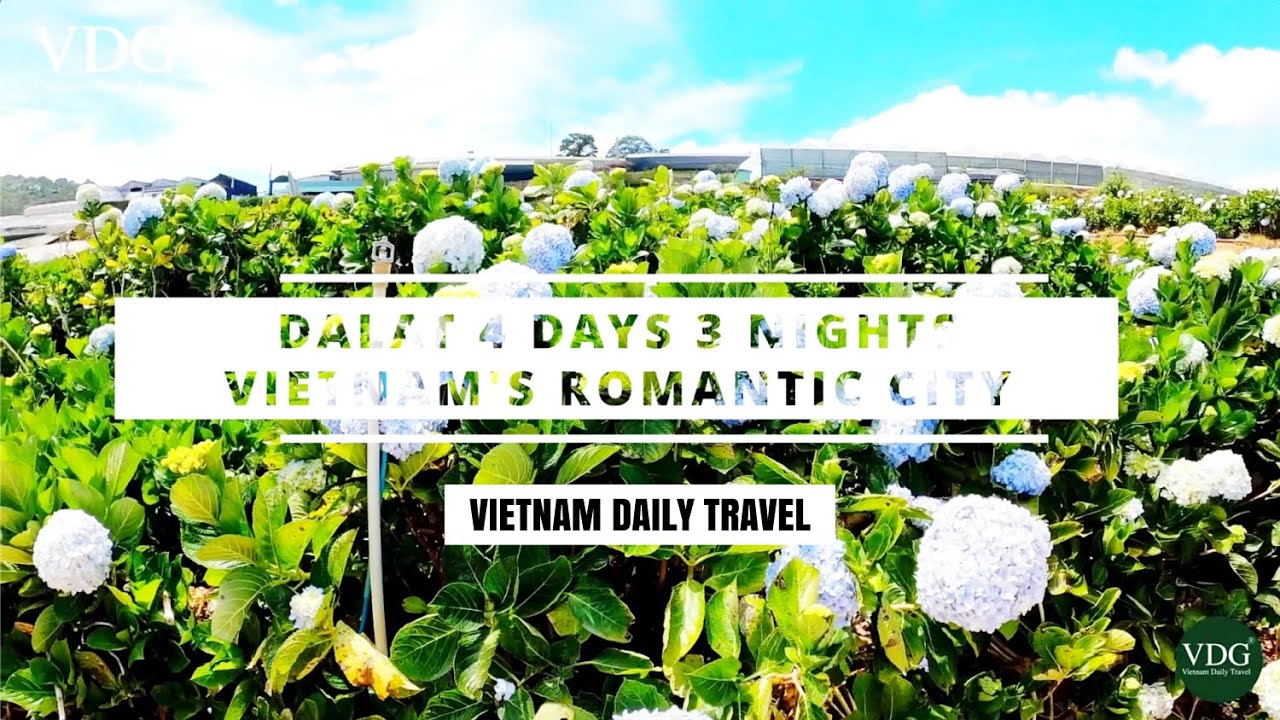 4 DAYS 3 NIGHTS ITINERARY IN DALAT I VIETNAM TRAVEL GUIDE I VIETNAM DAILY TRAVEL