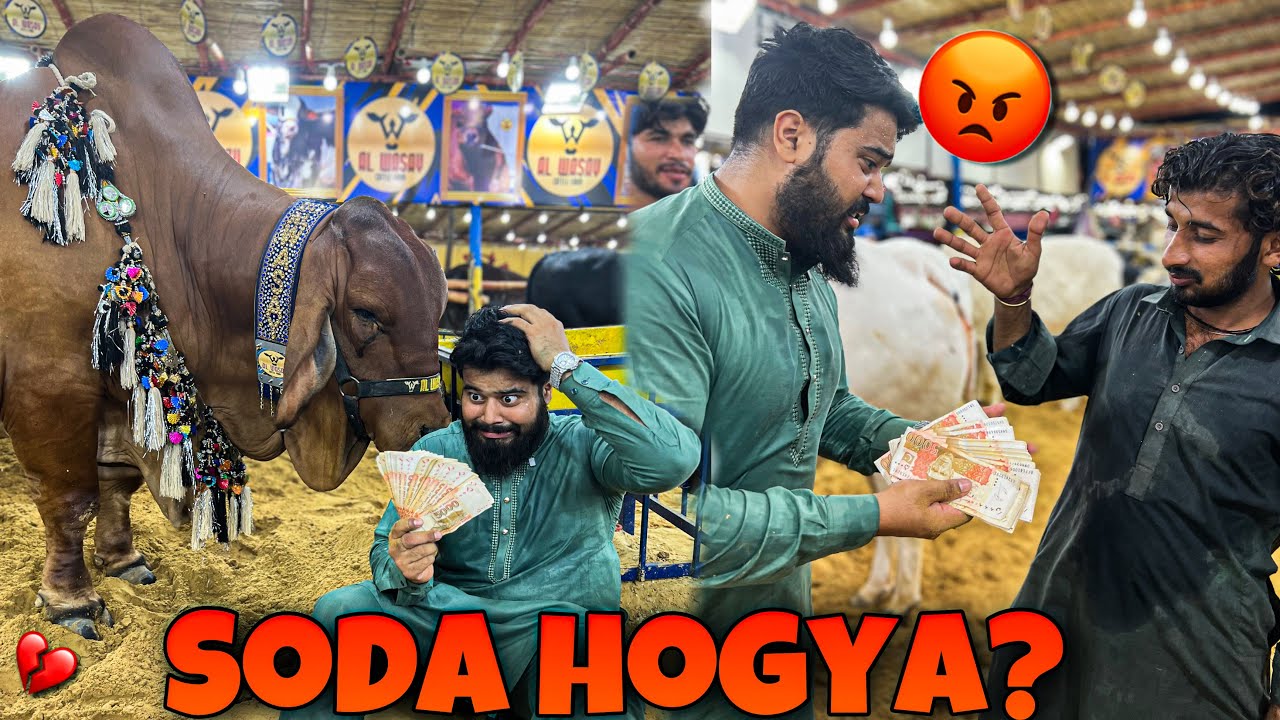 8 LAKH KA JANWAR PASANDAA GAYA I SODA HO GAYA ? | COW MANDI