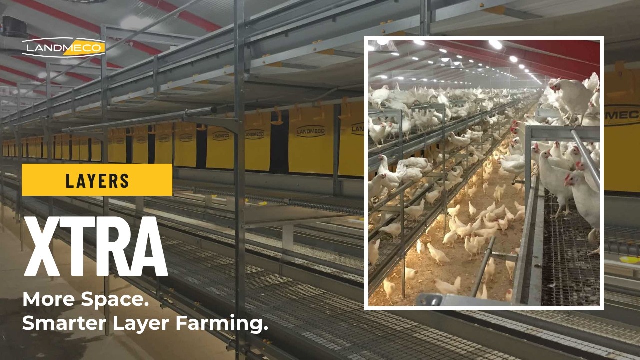 LANDMECO Poultry Aviary System Xtra | Extra Space, Extra Egg Quality