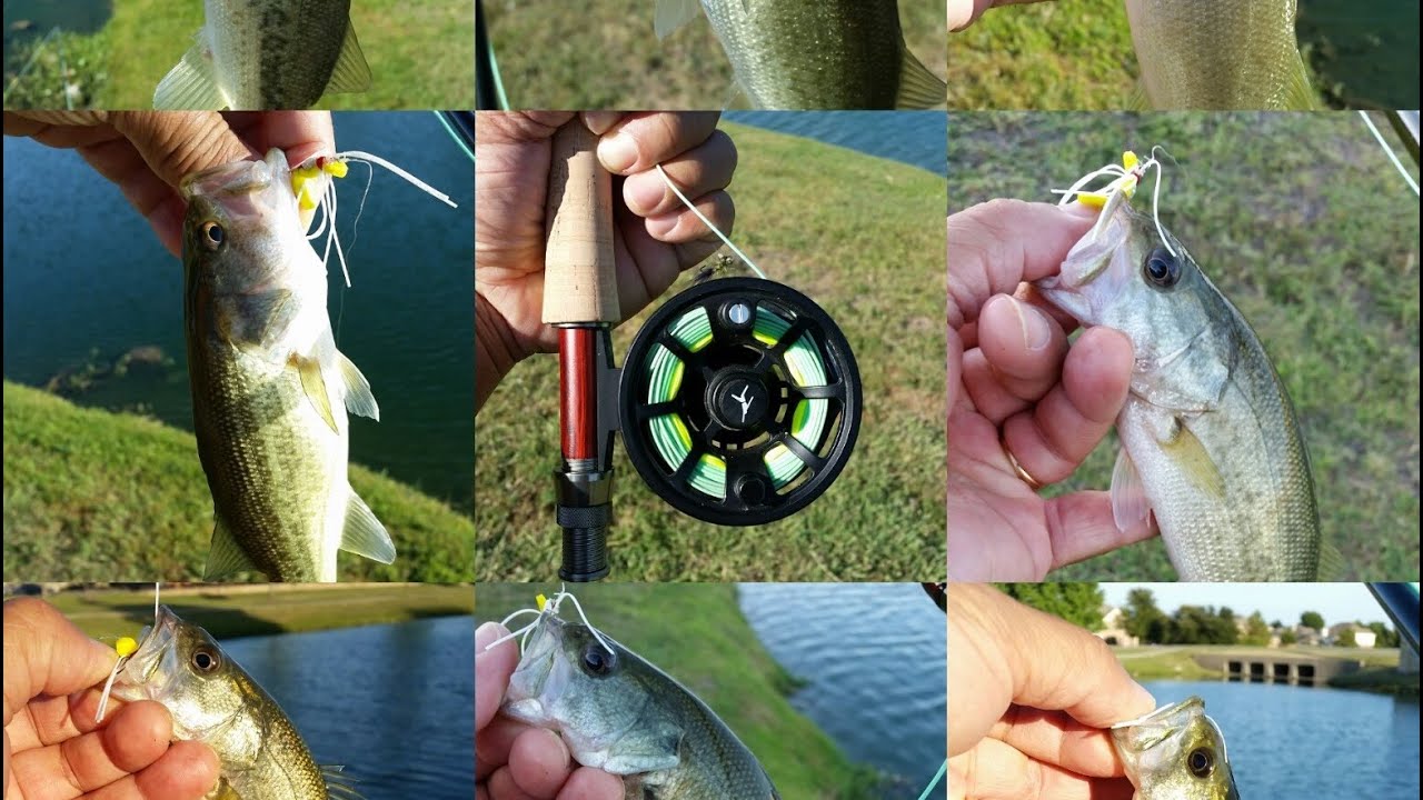 COAF Field Team Vlog #1 - Sonic Pond Fishing