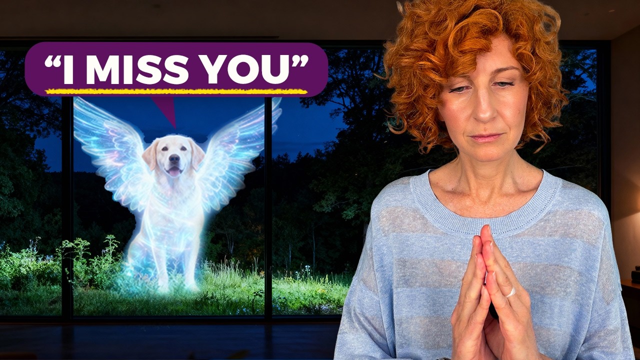 Try This Meditation to Feel Closer to Your Pet on the Other Side